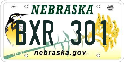 NE license plate BXR301