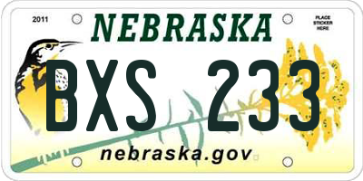 NE license plate BXS233