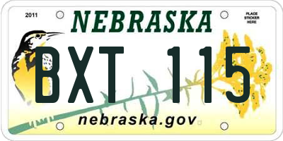 NE license plate BXT115