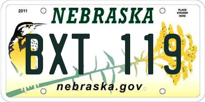NE license plate BXT119