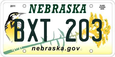 NE license plate BXT203