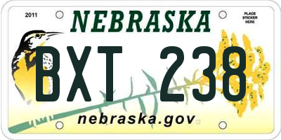 NE license plate BXT238