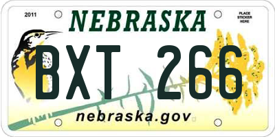 NE license plate BXT266