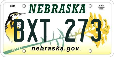 NE license plate BXT273
