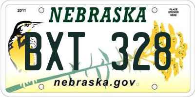NE license plate BXT328