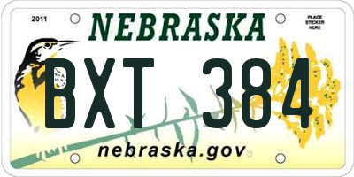 NE license plate BXT384