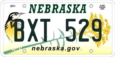 NE license plate BXT529