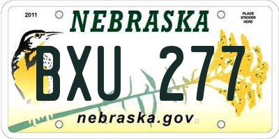 NE license plate BXU277