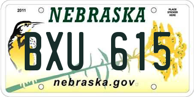 NE license plate BXU615