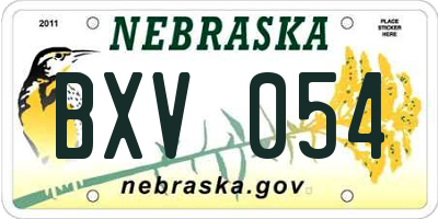 NE license plate BXV054