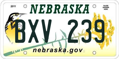 NE license plate BXV239