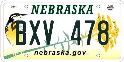 NE license plate BXV478