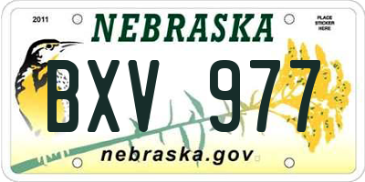 NE license plate BXV977