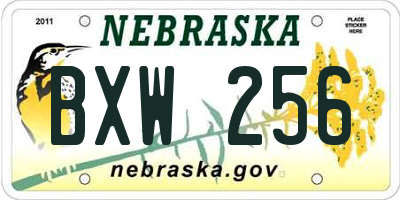 NE license plate BXW256