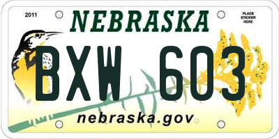 NE license plate BXW603