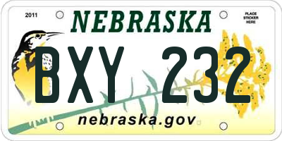 NE license plate BXY232