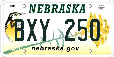 NE license plate BXY250