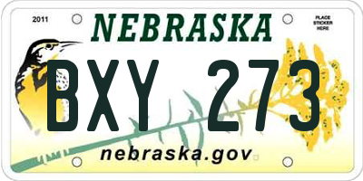 NE license plate BXY273