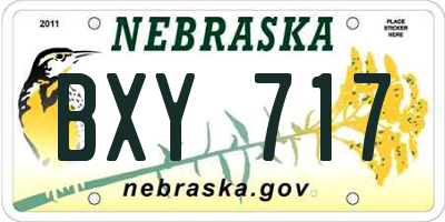 NE license plate BXY717