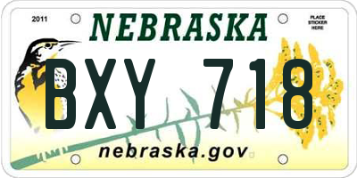 NE license plate BXY718