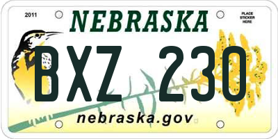 NE license plate BXZ230
