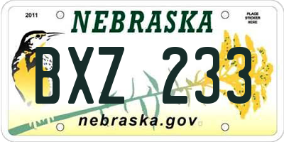 NE license plate BXZ233