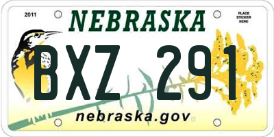 NE license plate BXZ291