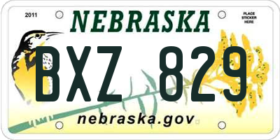 NE license plate BXZ829