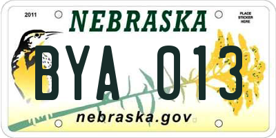 NE license plate BYA013