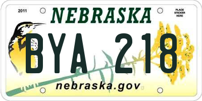 NE license plate BYA218