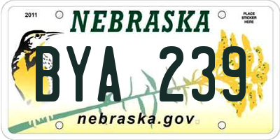 NE license plate BYA239