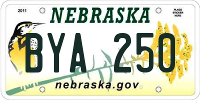 NE license plate BYA250