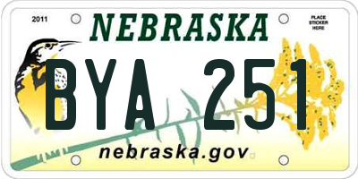 NE license plate BYA251