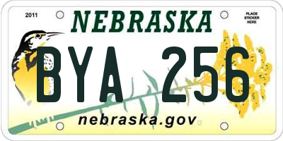NE license plate BYA256