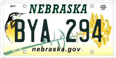 NE license plate BYA294