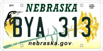 NE license plate BYA313