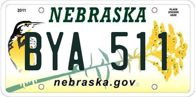 NE license plate BYA511