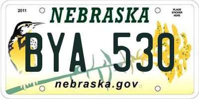 NE license plate BYA530
