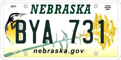 NE license plate BYA731