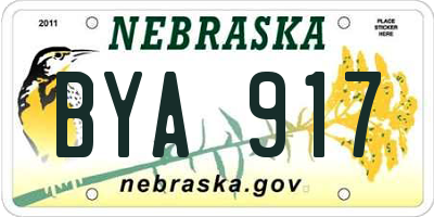 NE license plate BYA917