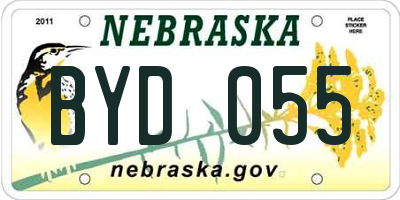 NE license plate BYD055