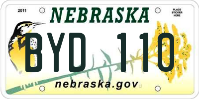 NE license plate BYD110