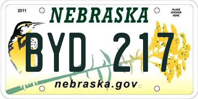 NE license plate BYD217