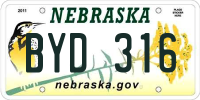 NE license plate BYD316