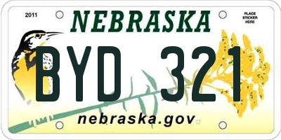 NE license plate BYD321