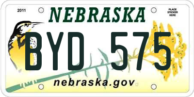 NE license plate BYD575
