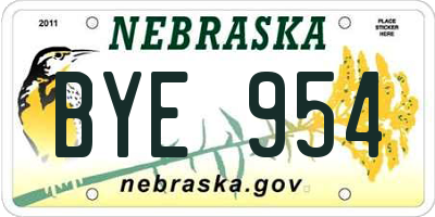NE license plate BYE954