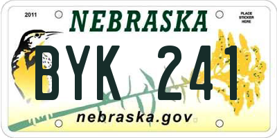 NE license plate BYK241
