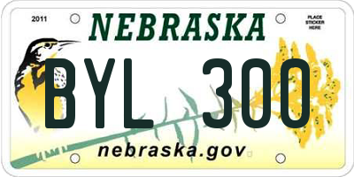 NE license plate BYL300