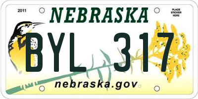 NE license plate BYL317